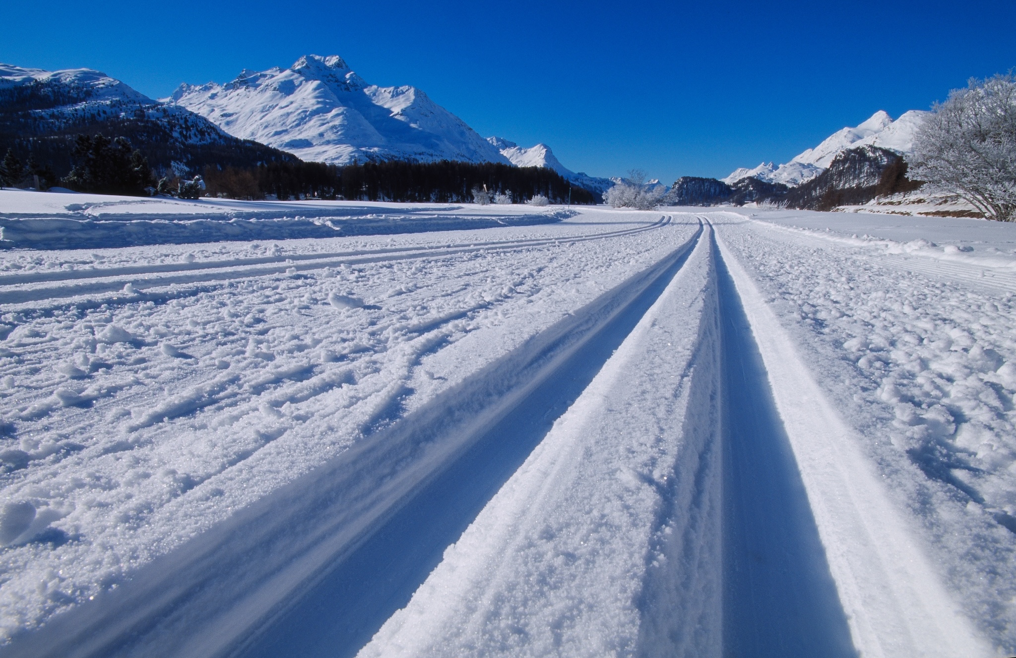 Langlauf Weltcup Engadin